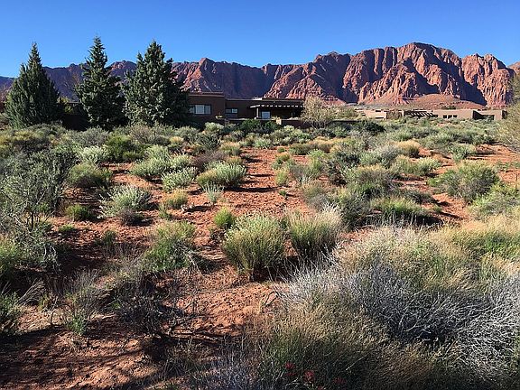 3rd image of 1135 W Coyote Gulch Cir