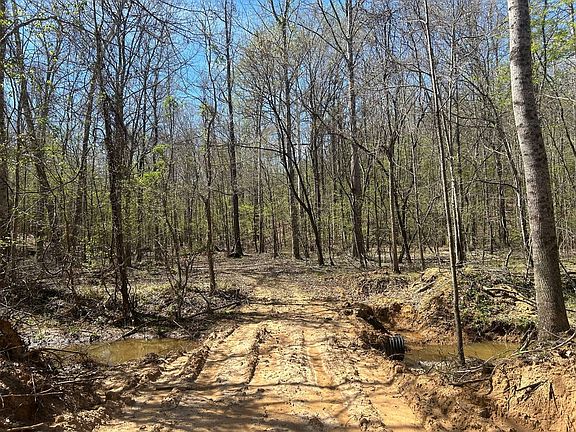 Photo Mar 23 2026 11 32 13 Am