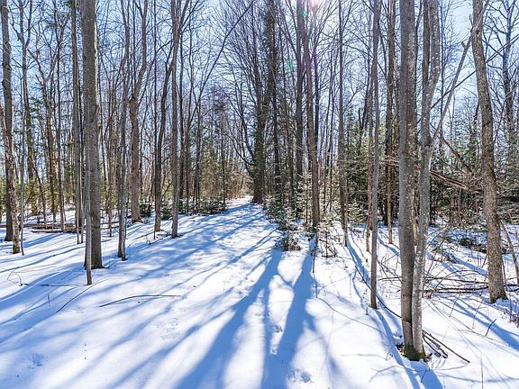 5th image of 18.28 Acres SOUTH ROAD