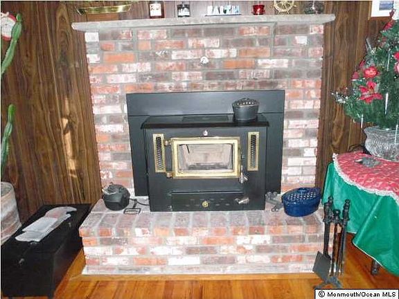 Coat/wood insert in Fireplace