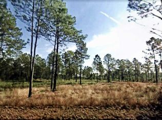 10540 Dillon Ave, Hastings, FL 32145