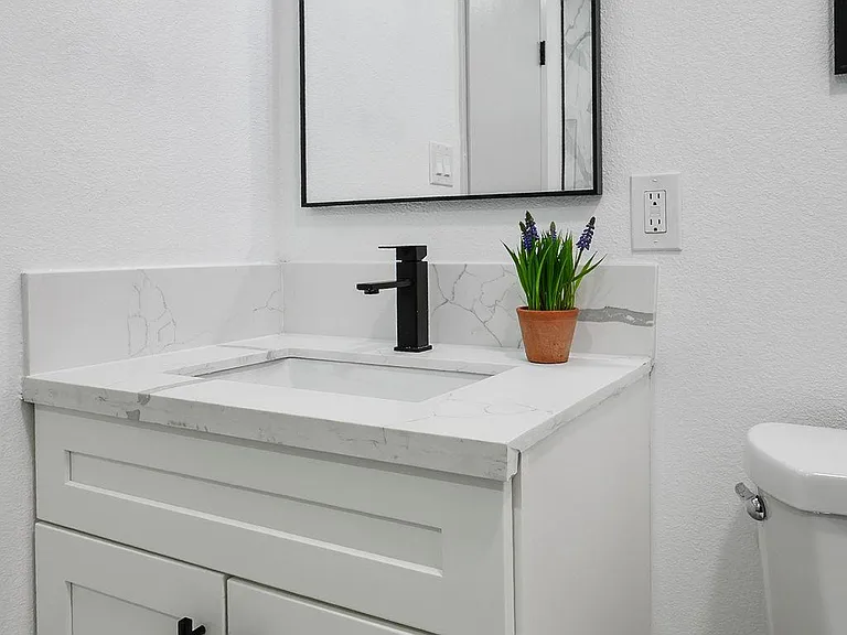 Elongated toilet