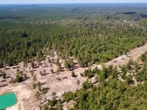 17224 Fm 943, Livingston, TX 77351