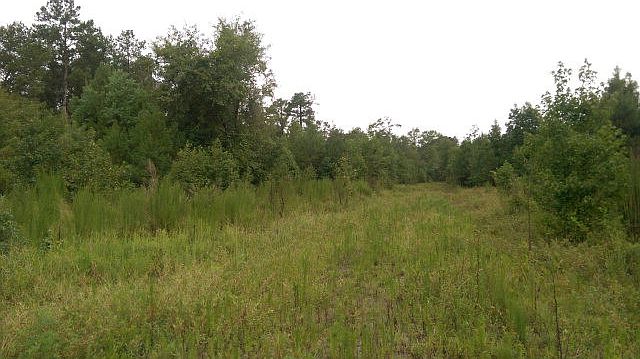 1st image of LOT 3 Harden St