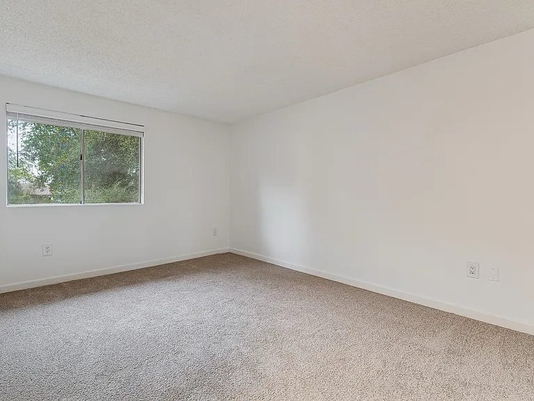 ReNew Alpine — Photo 4