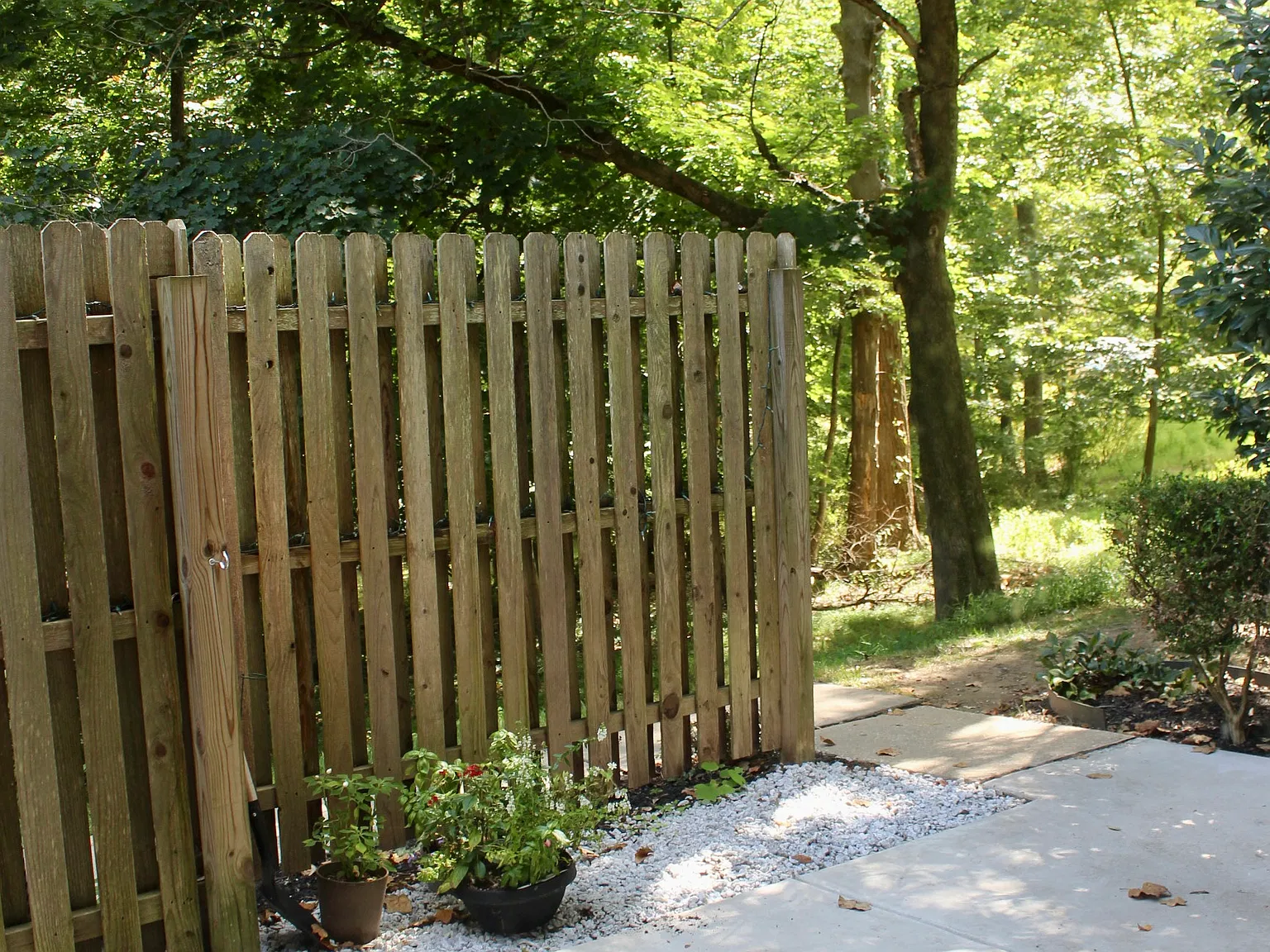 2 bed, 1460 sqft, $2,650 — Photo 3