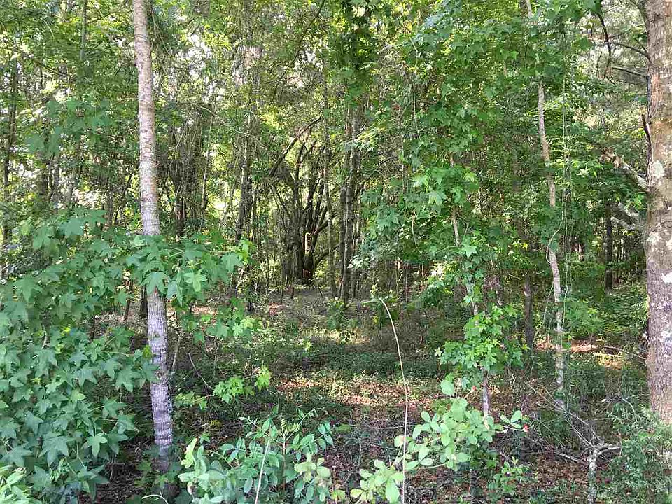 2nd image of 0 Robinson Farms Rd #0