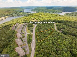 106 Snowhaven Ln, Mc Henry, MD 21541