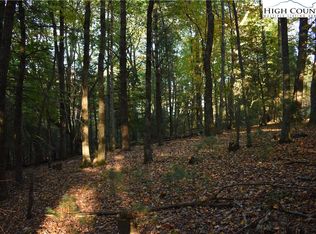 Tbd Hollyknoll Rd, Glade Valley, NC 28627