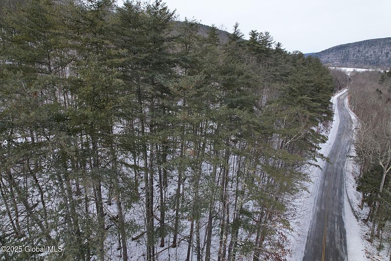 2nd image of L1 Bear Ladder Road