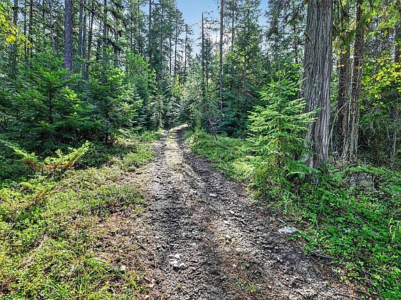 5th image of 302 Griffith Creek Rd