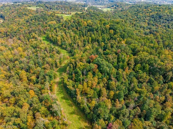 Lew Marten Rd, Summerfield, OH 43788