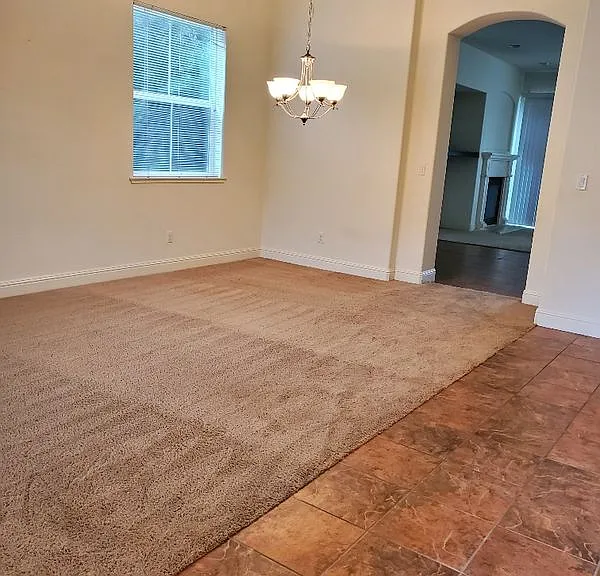 1004 Hildebrand Cir — Photo 10