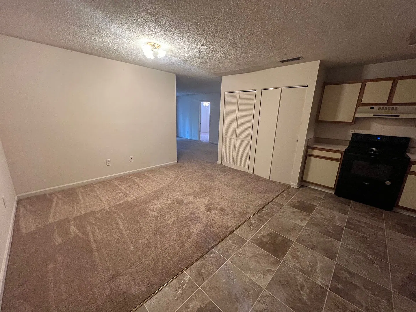4 Bedroom Apartment in Downtown Athens - Steeplechase Condominiums — Photo 2