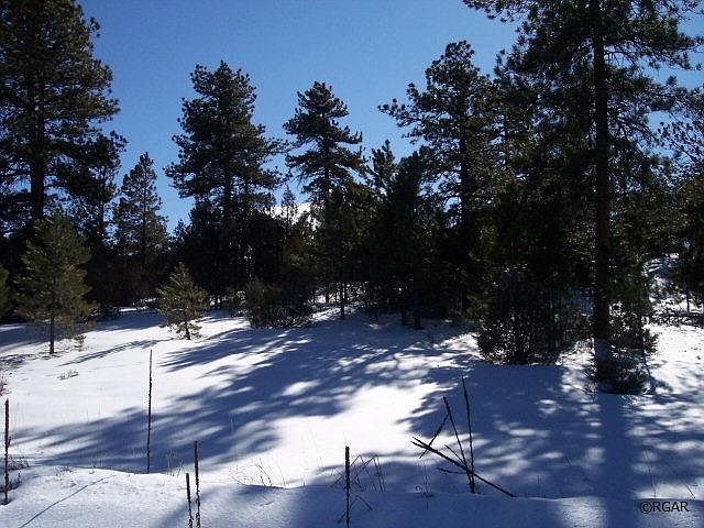 1st image of 98-98 Nels Dr