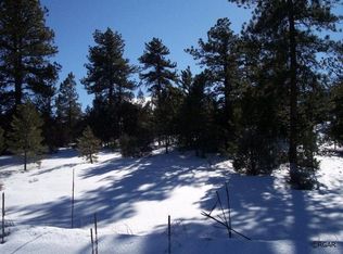 98-98 Nels Dr, Cotopaxi, CO