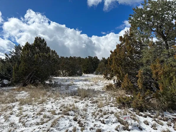 91 Ranch Rd, Vernon, AZ 85940