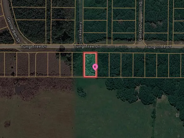 0 Tung Tree Dr Lot 12, Lumberton, MS 39455