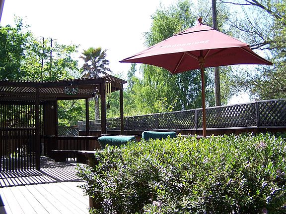 shade and sun out back