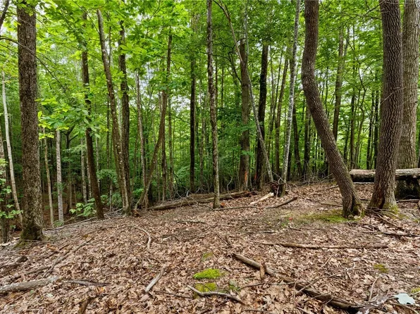 203 Sourwood Lane, Beech Mountain, NC 28604