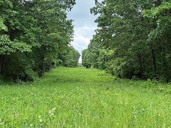 4th image of 28 Mile Rd