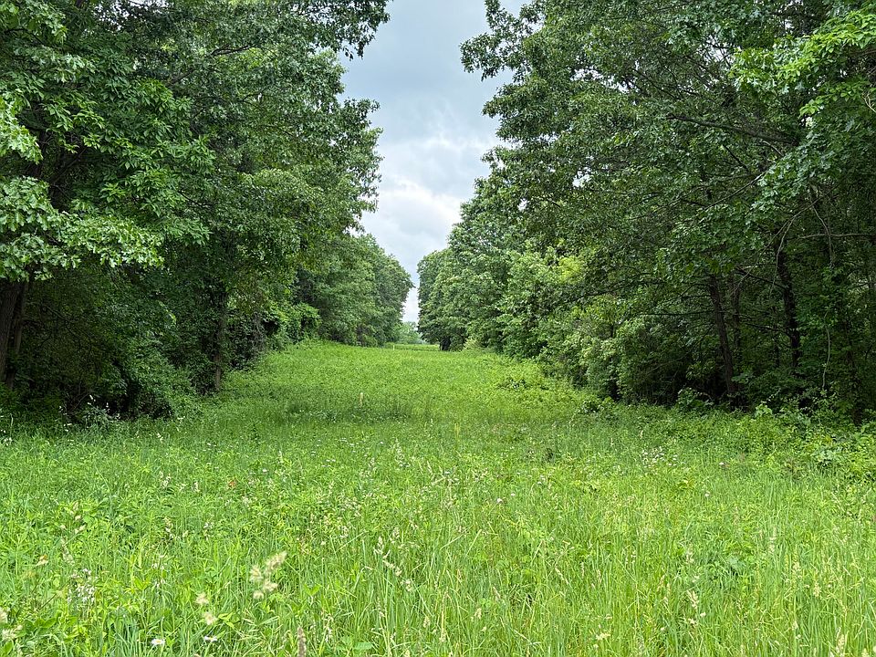2nd image of 28 Mile Rd