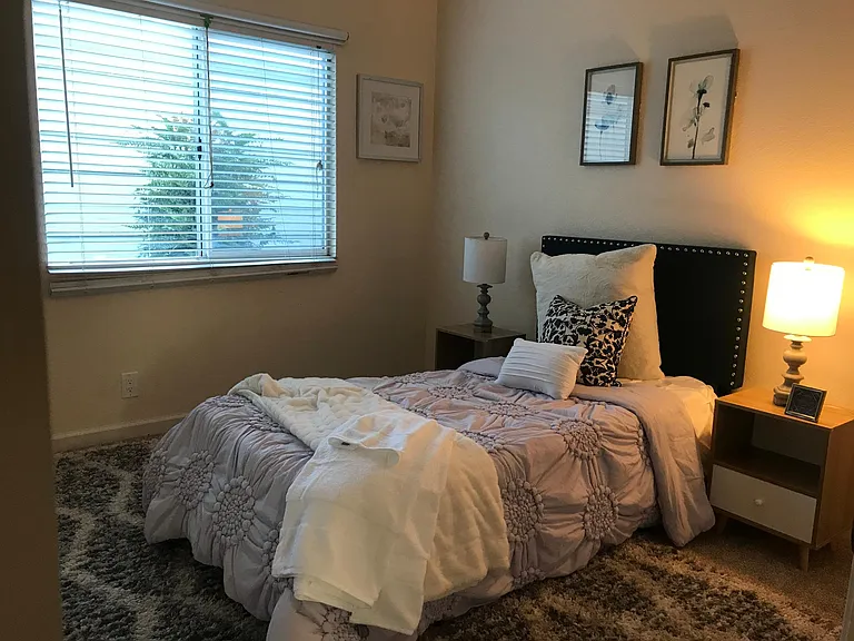 1505 Briartree Dr — Photo 5