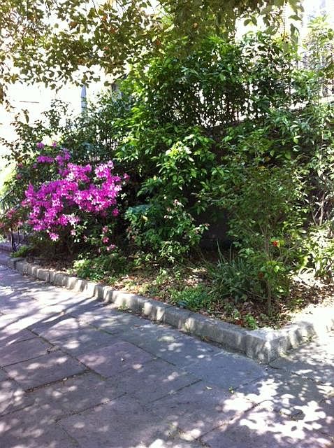 Street garden entrance view.
