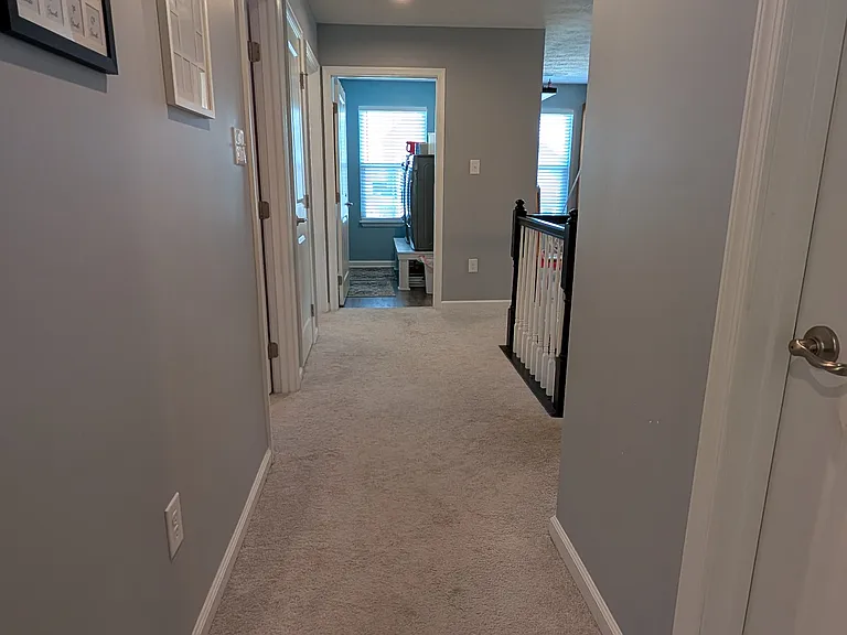 3159 White Ash Dr — Photo 11