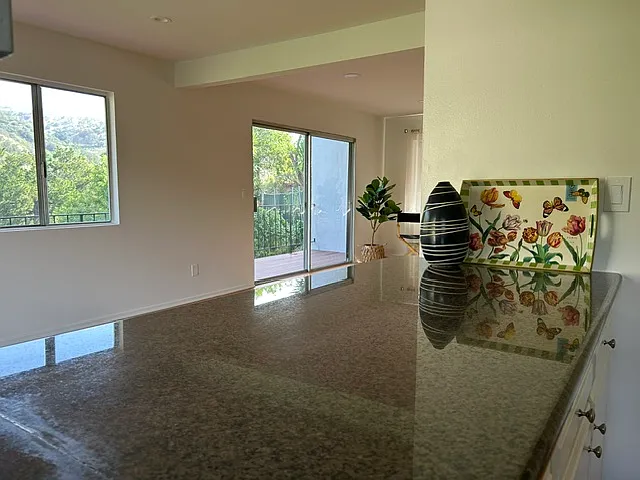 Across the granite countertop in the kitchen towards wrap-around deck.