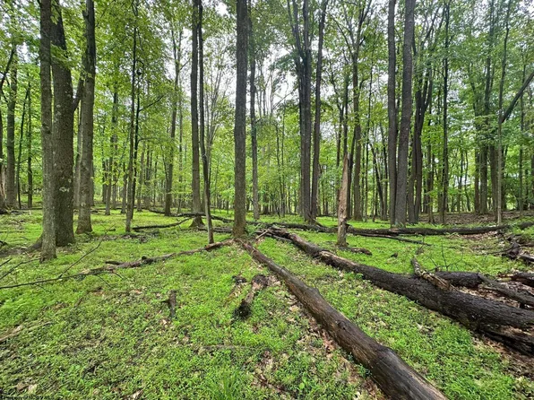 136 Columbine Cir, Terra Alta, WV 26764