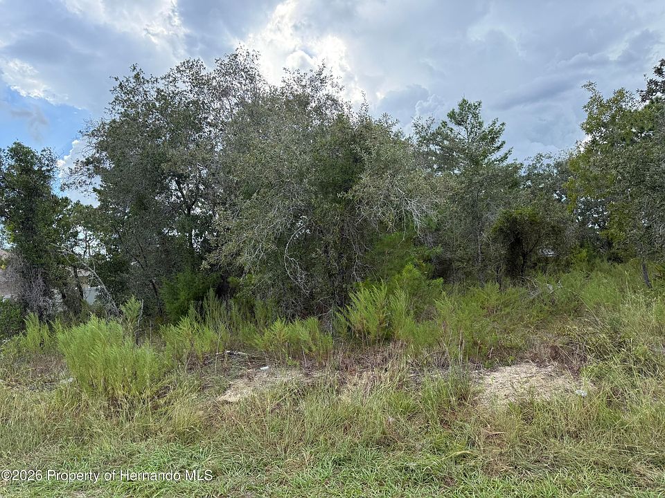 2nd image of 11023 Wren Rd