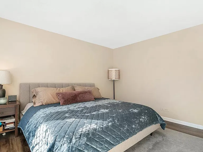 71 E Division St #1005 — Photo 21