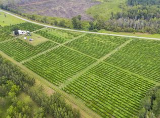 771 Grapevine Rd, Denmark, SC 29042