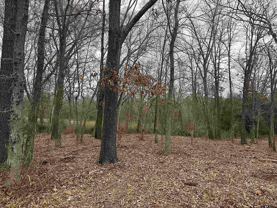 1st image of N Florence St Lot 8