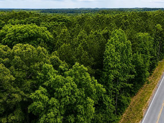 2nd image of State Highway 491