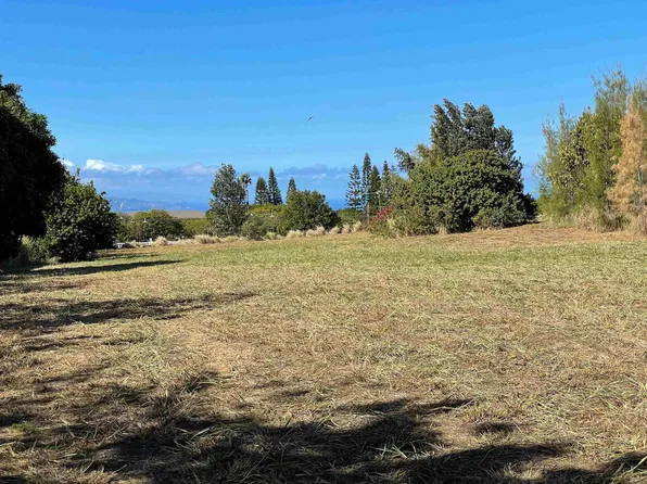 10 Mohala Pl #B, Makawao, HI 96768