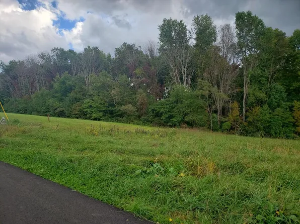 Tbd Scenic Elk Garden Dr, Lebanon, VA 24266