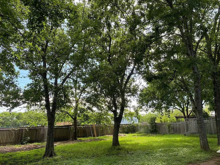 5474 Walnut Grove Dr — Photo 31
