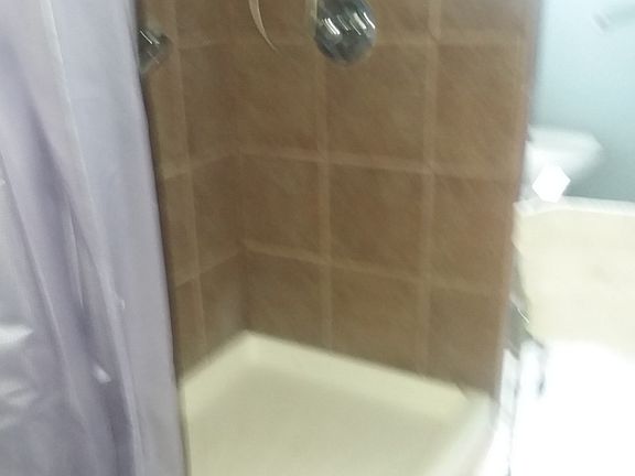 4th image of 19 White Oak Cir