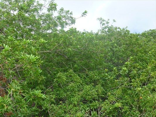 3rd image of Awa Pae Pl Lot 437