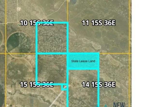 E Leman Rd, Lovington, NM 88260