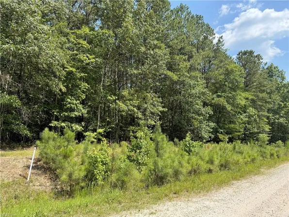 14 Fox Chase Dr, Dendron, VA 23839