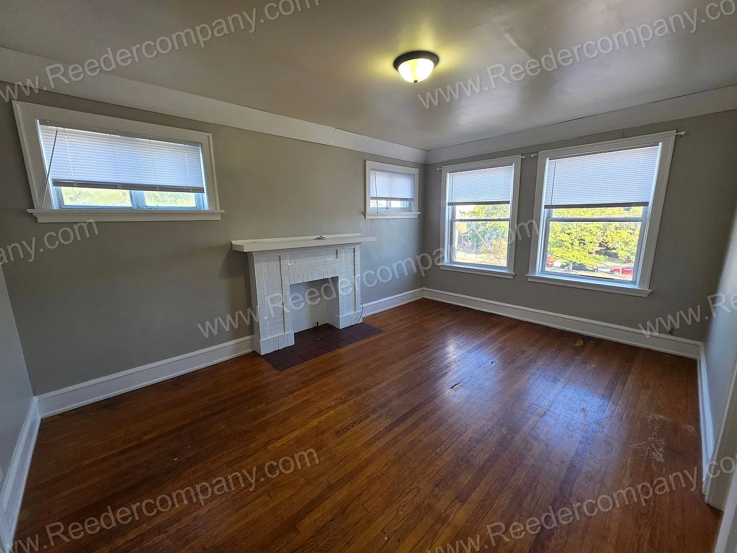 51-53 Elizabeth Street — Photo 2