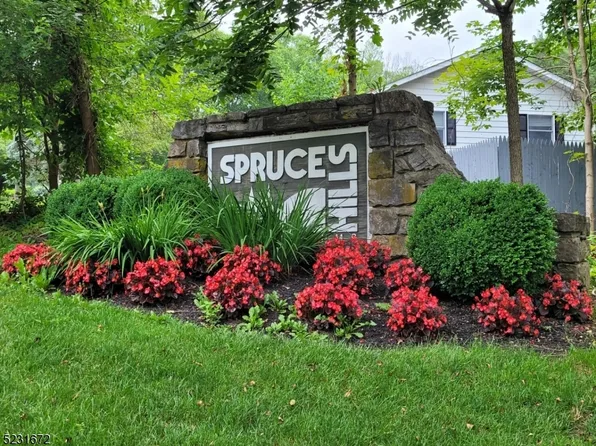 816 Spruce Hills Dr #816, Glen Gardner Boro, NJ 08826