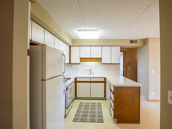 5th image of 8580 W Foster Ave Unit 609