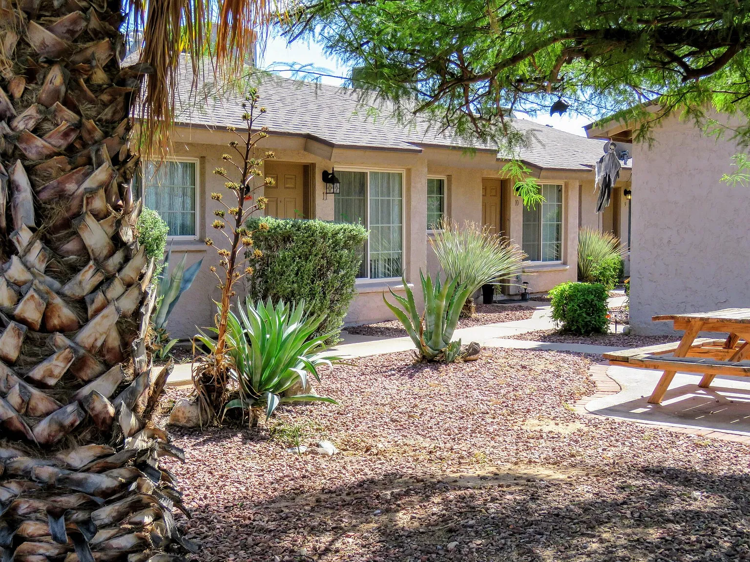 1 bed, 800 sqft, $1,200 — Photo 1