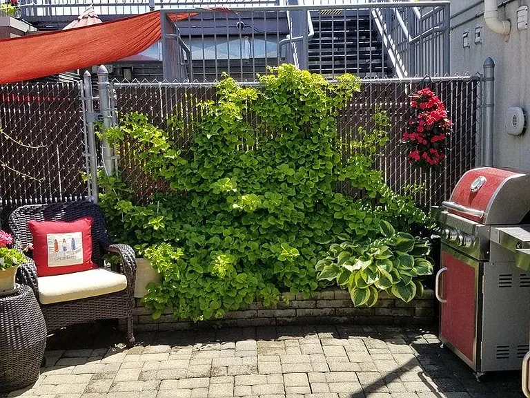 12 Washington Ave #6 — Photo 7