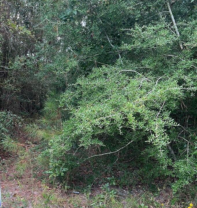 1st image of Windward Dr Lot 106