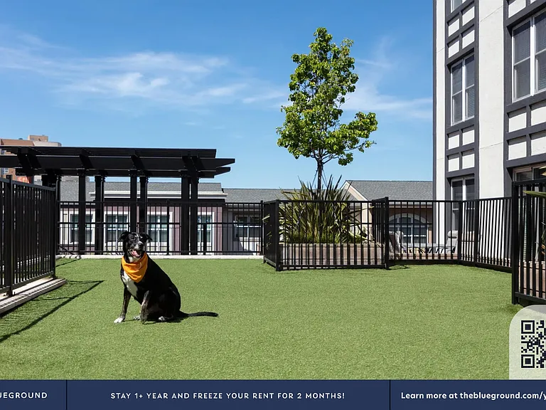 Building's Pet area